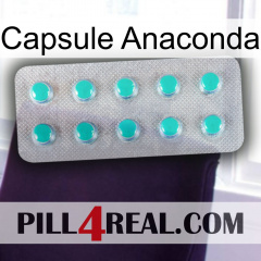 Anaconda Capsule 28